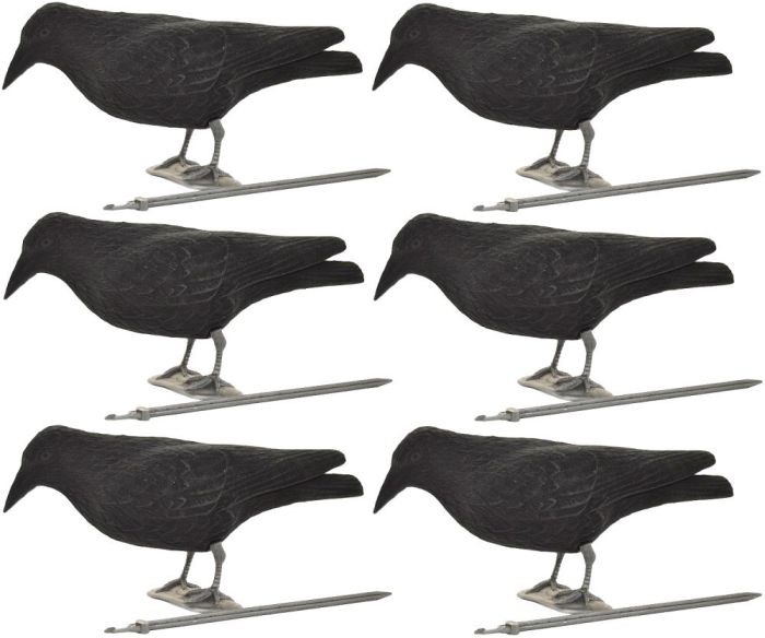 6Pcs Full Body Flocked Crow Decoy Shooting Hunting Decoying With Feet & Stake 